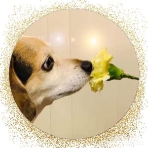 Meet your Posher, Skylar